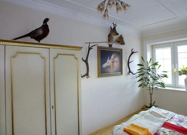 Villa Dom Tulipan Krynica-Zdrój Esterno foto